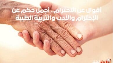 أقوال عن الاحترام.. أجمل حكم عن الإحترام والأدب والتربية الطيبة