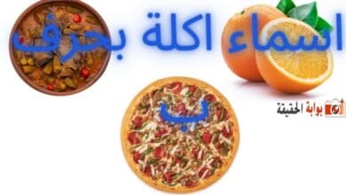 اسماء اكلة بحرف ب مع جميع المعلومات