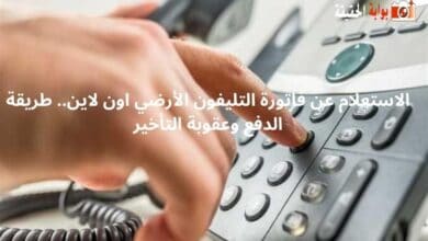 الاستعلام عن فاتورة التليفون الأرضي اون لاين.. طريقة الدفع وعقوبة التأخير