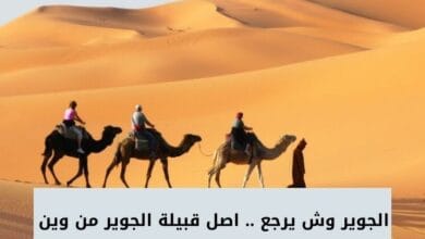 الجوير وش يرجع .. اصل قبيلة الجوير من وين 