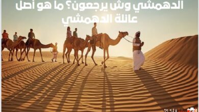 الدهمشي وش يرجعون؟ ما هو أصل عائلة الدهمشي