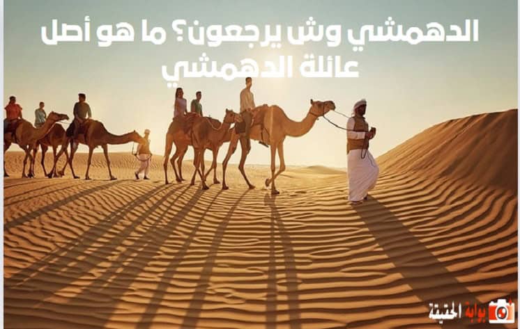 الدهمشي وش يرجعون؟ ما هو أصل عائلة الدهمشي