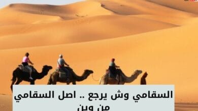 السقامي وش يرجع .. اصل السقامي من وين