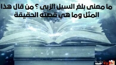 ما معنى بلغ السيل الزبى؟ من قال هذا المثل وما هي قصته الحقيقة