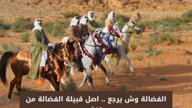 الفضالة وش يرجع .. اصل قبيلة الفضالة من وين