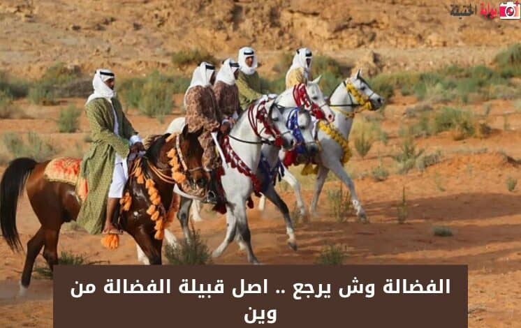 الفضالة وش يرجع .. اصل قبيلة الفضالة من وين