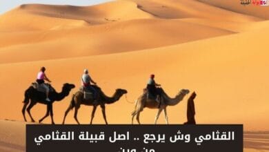 القثامي وش يرجع .. اصل قبيلة القثامي من وين 