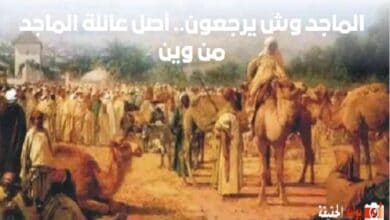 الماجد وش يرجعون.. أصل عائلة الماجد من وين