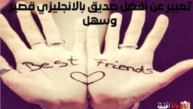 تعبير عن أفضل صديق بالانجليزي قصير وسهل
