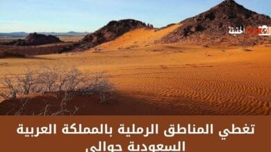 تغطي المناطق الرملية بالمملكة العربية السعودية حوالي أكمل هذه العبارة