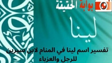 تفسير اسم لينا في المنام لابن سيرين للرجل والعزباء