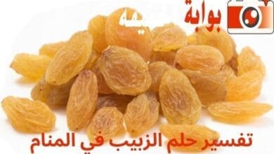 تفسير حلم الزبيب في المنام