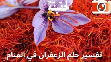 تفسير حلم الزعفران في المنام