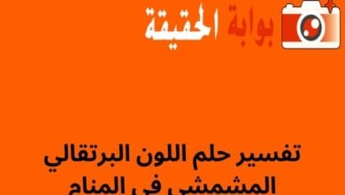 تفسير حلم اللون البرتقالي المشمشي في المنام