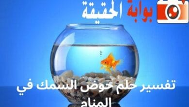 تفسير حلم حوض السمك في المنام