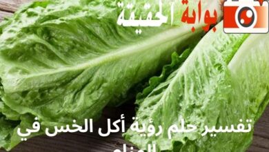 تفسير حلم رؤية أكل الخس في المنام