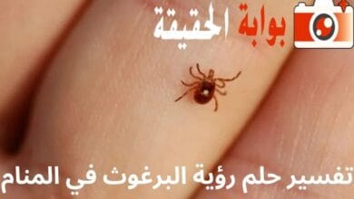 تفسير حلم رؤية البرغوث في المنام