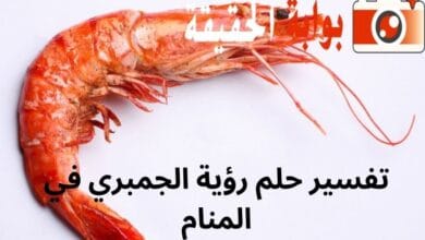 تفسير حلم رؤية الجمبري في المنام