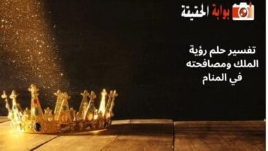 تفسير حلم رؤية الملك ومصافحته في المنام