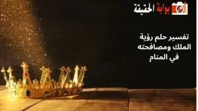 تفسير حلم رؤية الملك ومصافحته في المنام