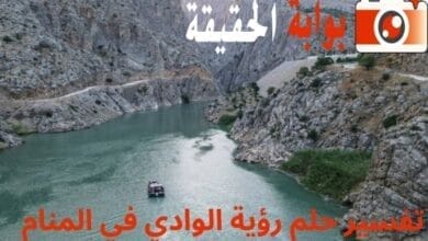 تفسير حلم رؤية الوادي في المنام