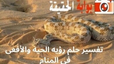 تفسير حلم رؤيه الحيه والأفعى فى المنام