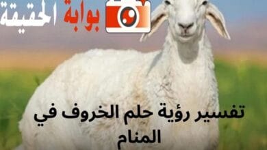 تفسير رؤية حلم الخروف في المنام