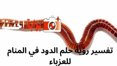 تفسير رؤية حلم الدود في المنام للعزباء