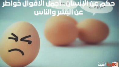 حكم عن الإنسان.. أجمل الاقوال خواطر عن البشر والناس