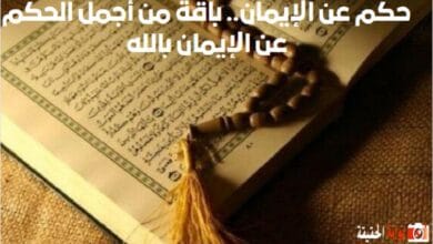 حكم عن الإيمان.. باقة من أجمل الحكم عن الإيمان بالله
