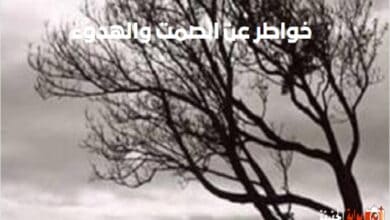 خواطر عن الصمت والهدوء مكتوب قصير