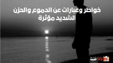 خواطر وعبارات عن الدموع والحزن الشديد مؤثرة