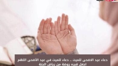 دعاء عيد الاضجى للميت .. دعاء للميت في عيد الأضحى اللهم اجعل قبره روضة من رياض الجنة
