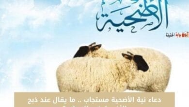 دعاء نية الأضحية مستجاب .. ما يقال عند ذبح الأضحية في الإسلام؟
