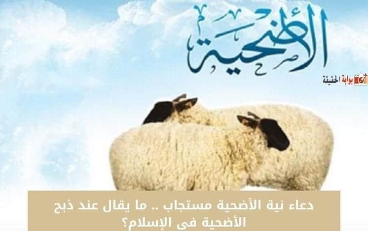 دعاء نية الأضحية مستجاب .. ما يقال عند ذبح الأضحية في الإسلام؟