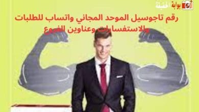 رقم تاجوسيل الموحد المجاني واتساب للطلبات والاستفسارات وعناوين الفروع