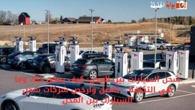 شحن السيارات بين المدن: كيف يمكن ذلك وما هي التكلفة .. افضل وارخص شركات شحن السيارات بين المدن