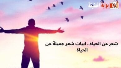 شعر عن الحياة.. ابيات شعر جميلة عن الحياة 