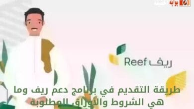 طريقة التقديم في برنامج دعم ريف وما هي الشروط والأوراق المطلوبة