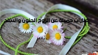 عبارات جميلة عن الزوج الحنون والسند