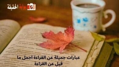 عبارات جميلة عن القراءة اجمل ما قيل عن القراءة