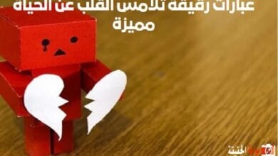 عبارات رقيقة تلامس القلب عن الحياة مميزة