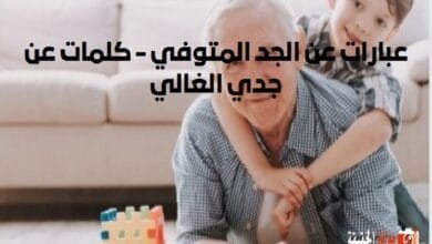 عبارات عن الجد المتوفي - كلمات عن جدي الغالي