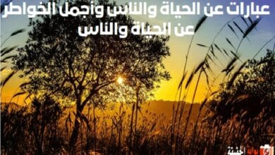 عبارات عن الحياة والناس وأجمل الخواطر عن الحياة والناس