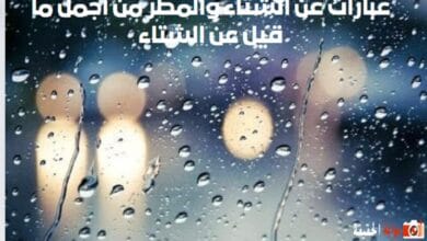 عبارات عن الشتاء والمطر من أجمل ما قيل عن الشتاء