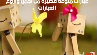 عبارات منوعة قصيرة من اجمل واروع العبارات