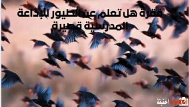 فقرة هل تعلم عن الطيور للإذاعة المدرسية قصيرة