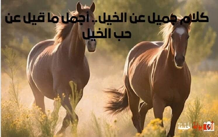كلام جميل عن الخيل.. أجمل ما قيل عن حب الخيل