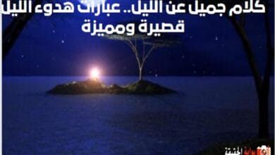 كلام جميل عن الليل.. عبارات هدوء الليل قصيرة ومميزة