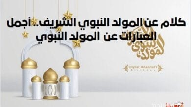 كلام عن المولد النبوي الشريف.. أجمل العبارات عن المولد النبوي